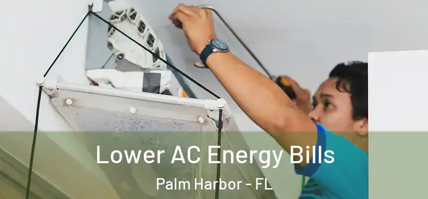 Lower AC Energy Bills Palm Harbor - FL