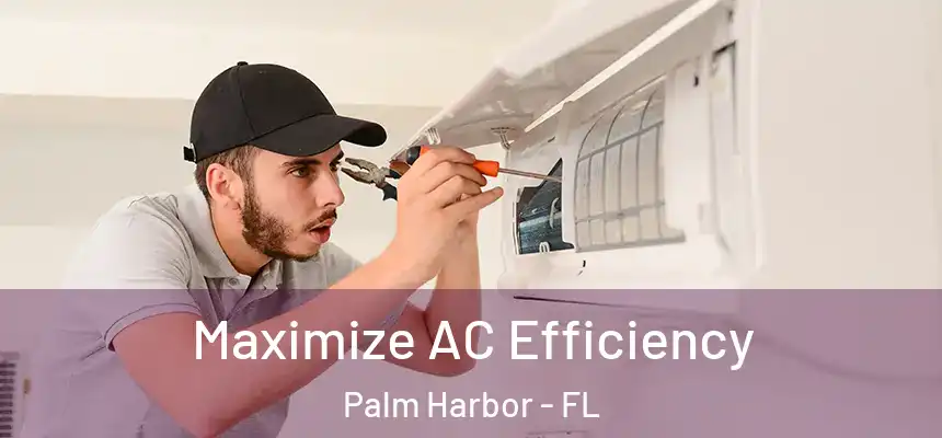 Maximize AC Efficiency Palm Harbor - FL