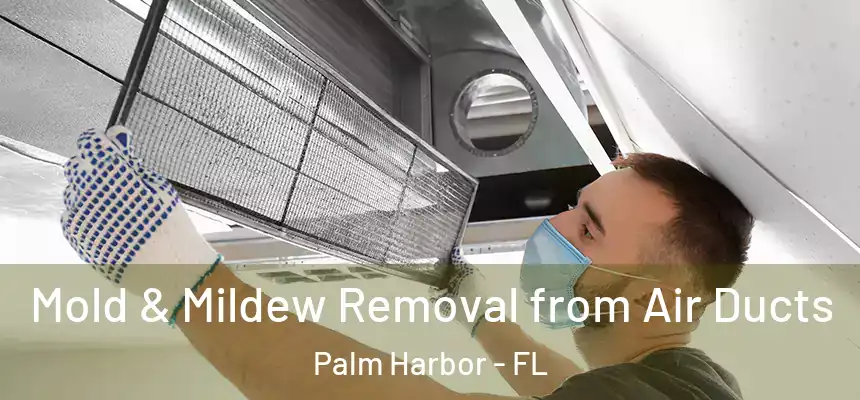 Mold & Mildew Removal from Air Ducts Palm Harbor - FL