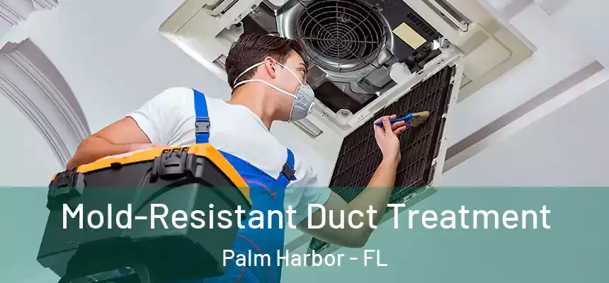 Mold-Resistant Duct Treatment Palm Harbor - FL