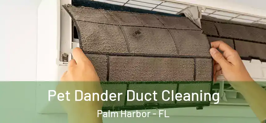 Pet Dander Duct Cleaning Palm Harbor - FL