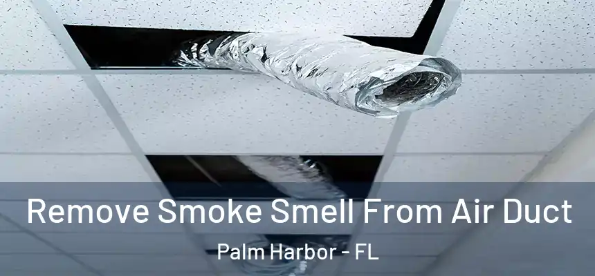 Remove Smoke Smell From Air Duct Palm Harbor - FL