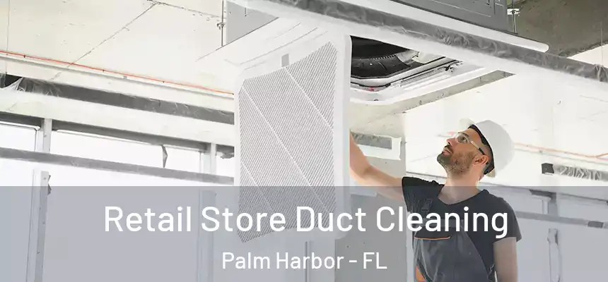 Retail Store Duct Cleaning Palm Harbor - FL