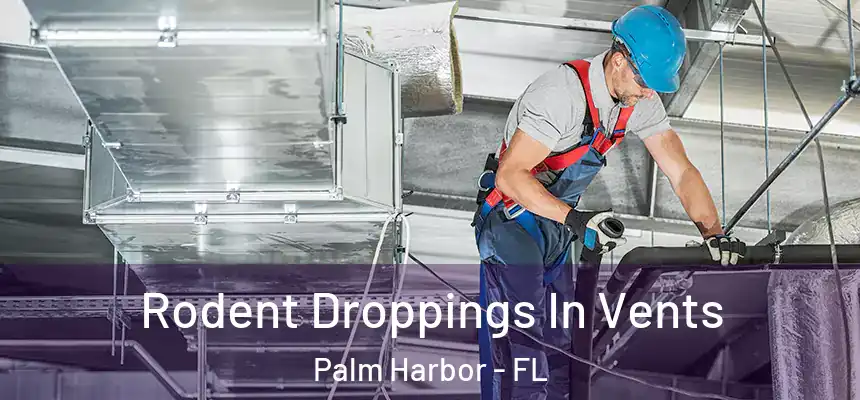 Rodent Droppings In Vents Palm Harbor - FL