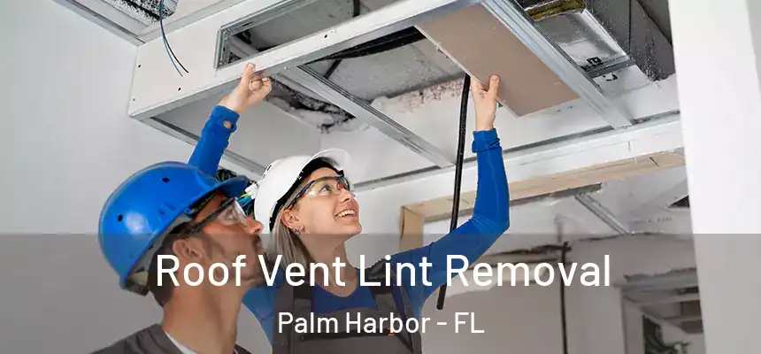 Roof Vent Lint Removal Palm Harbor - FL