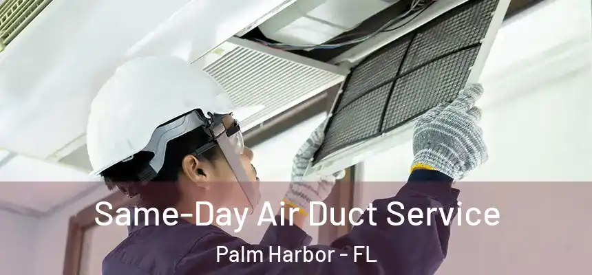 Same-Day Air Duct Service Palm Harbor - FL