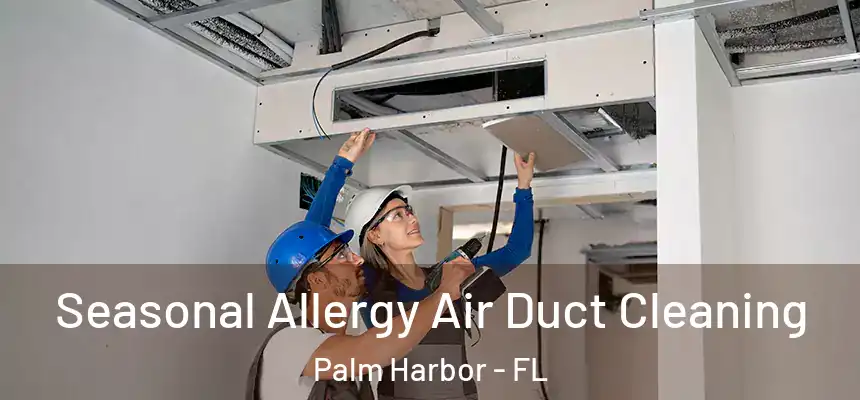 Seasonal Allergy Air Duct Cleaning Palm Harbor - FL