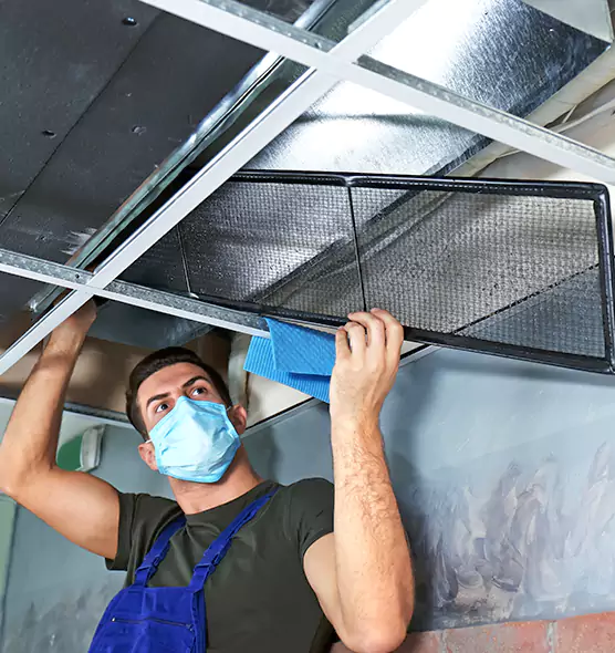 Professional Air Duct Pollen Cleaning in Palm Harbor, FL
