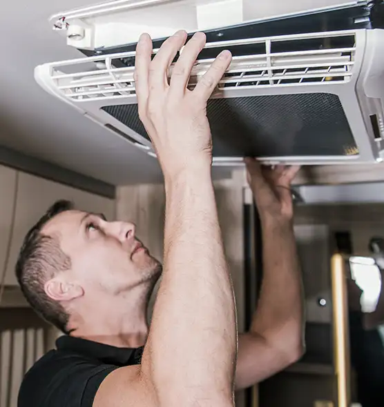 Professional Licensed And Insured Cleaners in Palm Harbor, FL