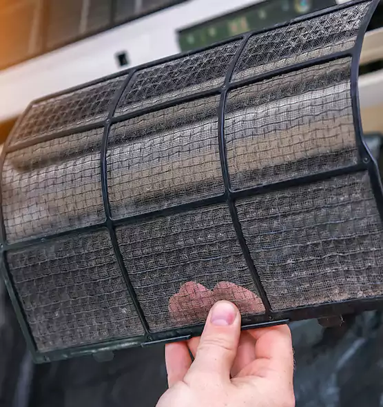 About Pet Dander Duct Cleaning in Palm Harbor, FL