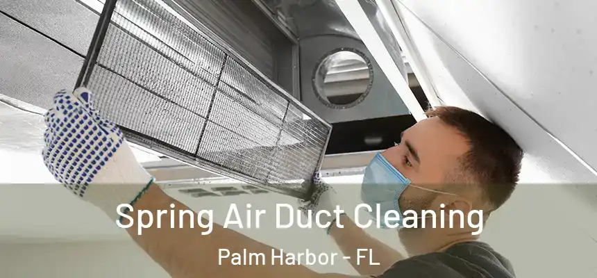 Spring Air Duct Cleaning Palm Harbor - FL