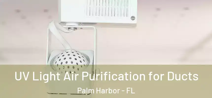 UV Light Air Purification for Ducts Palm Harbor - FL