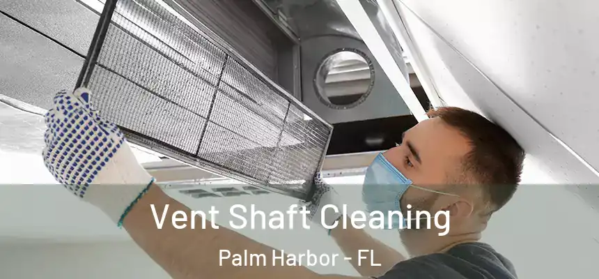 Vent Shaft Cleaning Palm Harbor - FL