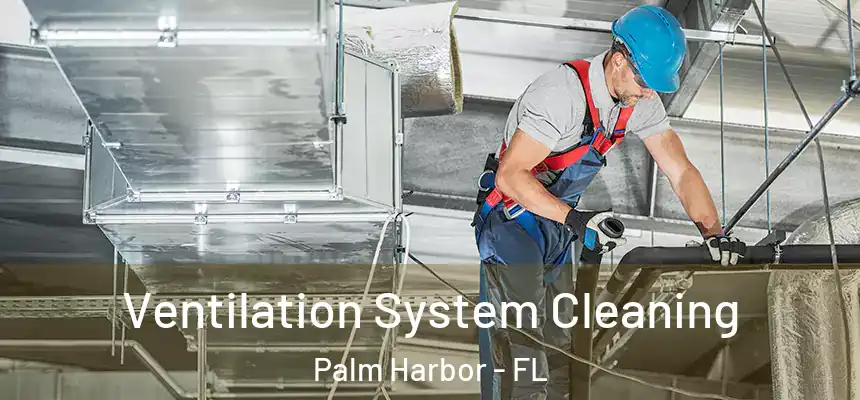 Ventilation System Cleaning Palm Harbor - FL