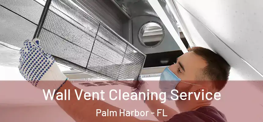 Wall Vent Cleaning Service Palm Harbor - FL